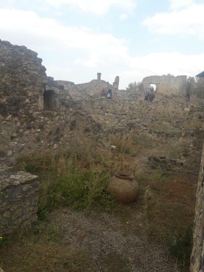 Rosy Monolocale Nel Centro Storico Di Torre Annunziata Di Fronte Scavi Oplonti公寓 外观 照片