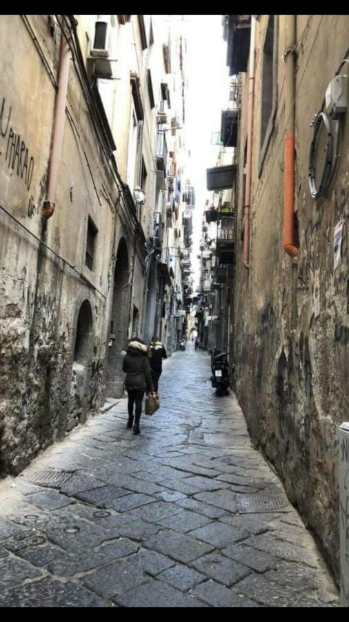 Rosy Monolocale Nel Centro Storico Di Torre Annunziata Di Fronte Scavi Oplonti公寓 外观 照片